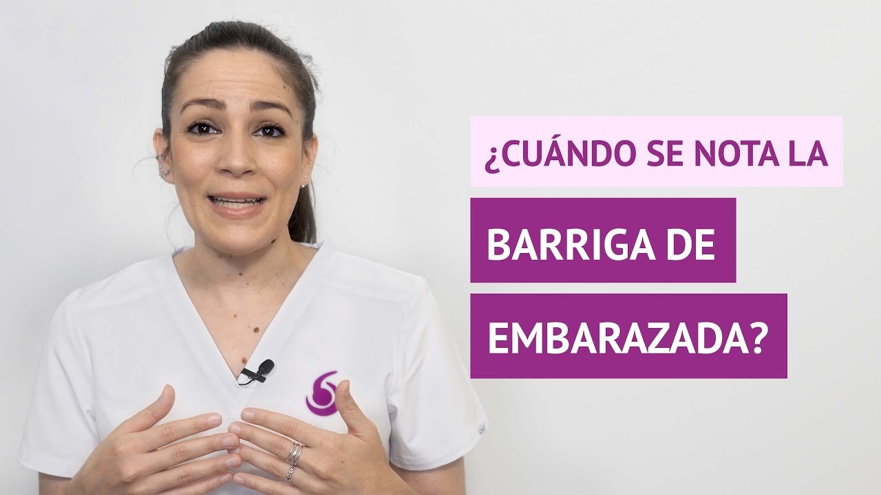 ¿Cuándo se empieza a notar la barriga de embarazada?