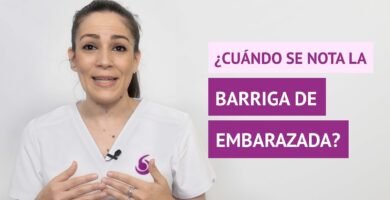 ¿Cuándo se empieza a notar la barriga del bebé?