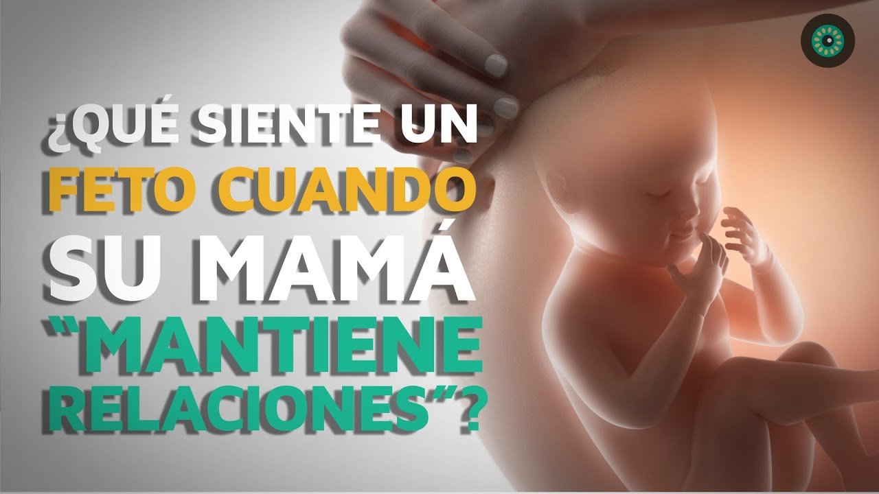 ¿Qué pasa con el feto cuando la madre duerme?